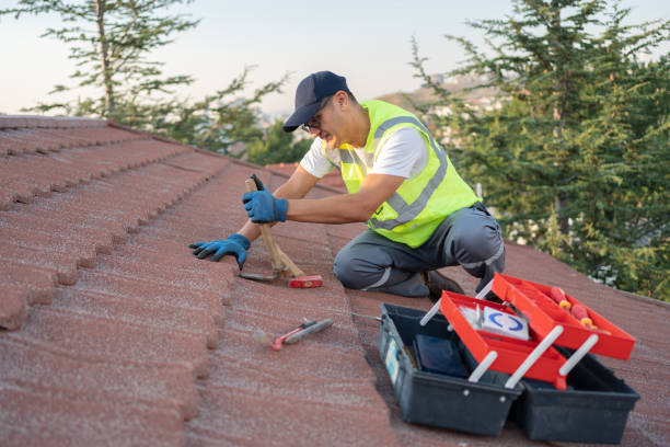 Best Shingle Roofing Installation  in Napavine, WA