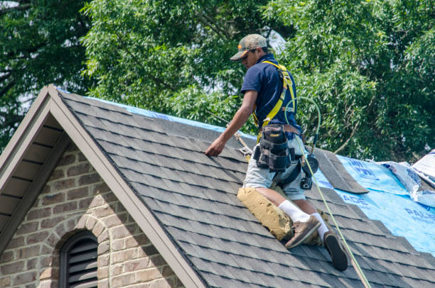 Best Storm Damage Roof Repair  in Napavine, WA